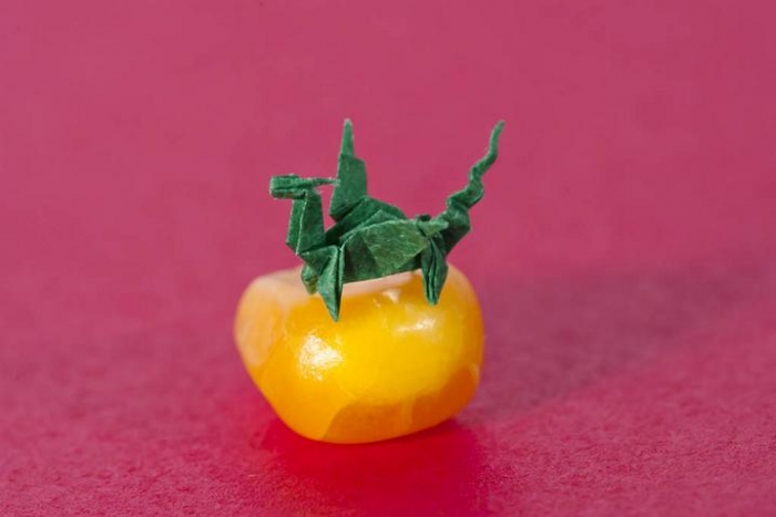 nano-origami dragon